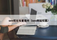 seo优化权重提升（seo网站权重）